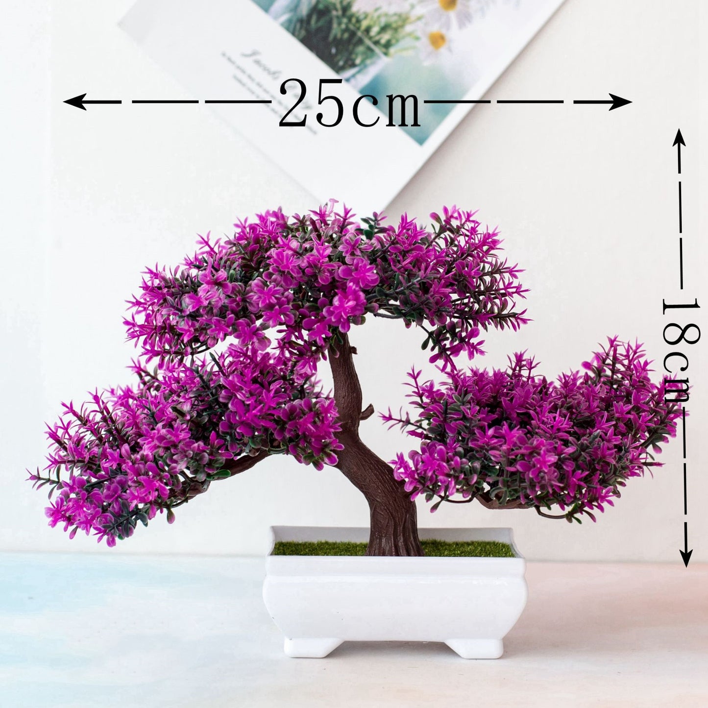 Bonsai Potted Plant