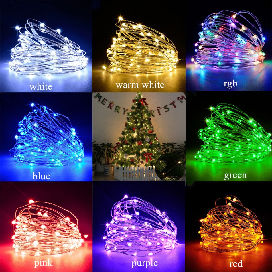 Fairy LED Lights