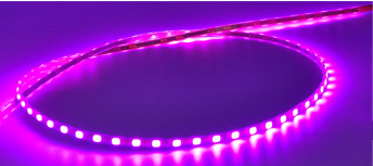 Neon Led Light Strip