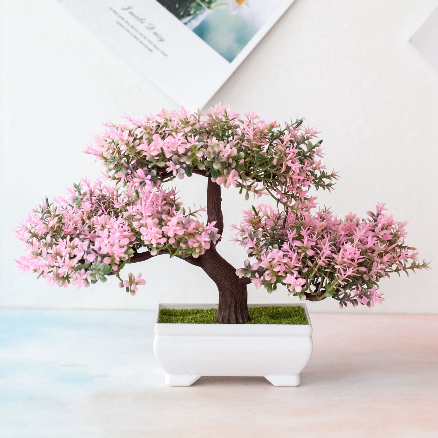 Bonsai Potted Plant