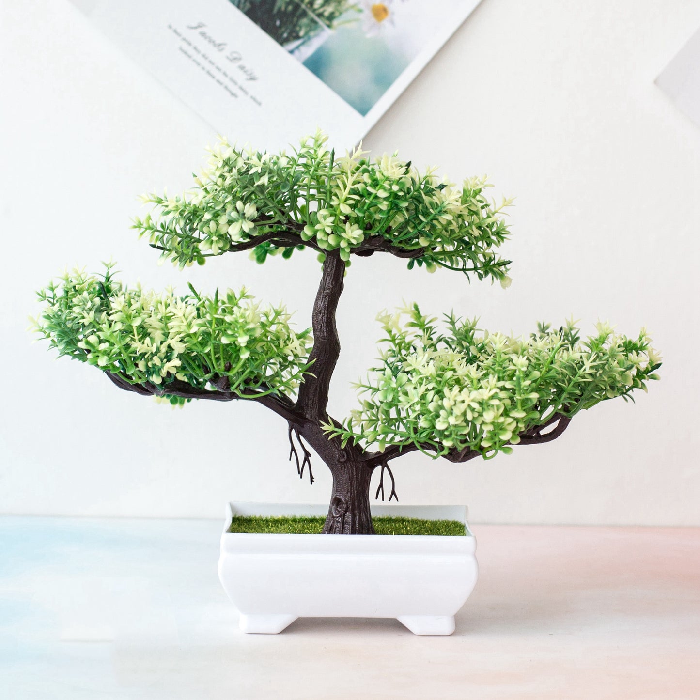 Bonsai Potted Plant